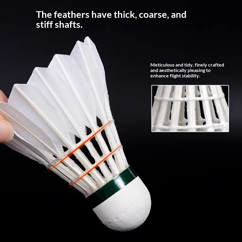 Volante de Bádminton VICTOR Go - Victor Shuttlecock Feather reseña y precio